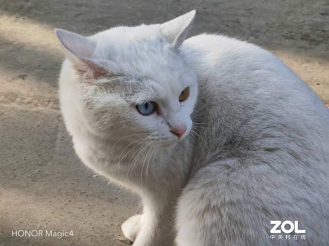 iPhone、榮耀影像實測對比，這次還真不是一分價錢一分貨 