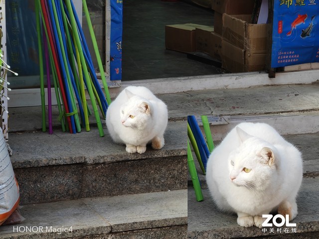 iPhone、榮耀影像實測對比，這次還真不是一分價錢一分貨 