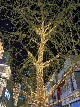 萬元旗艦決戰(zhàn)景山之巔 三星S22 Ultra/iPjone 13 Pro Max拍照對(duì)比 