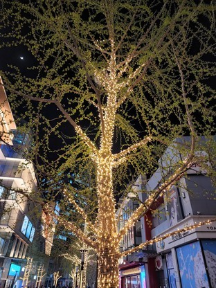 萬元旗艦決戰(zhàn)景山之巔 三星S22 Ultra/iPjone 13 Pro Max拍照對(duì)比 