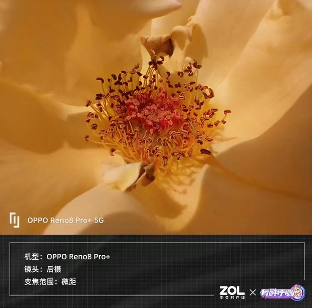 【有料評測】OPPO Reno8 Pro+全面評測：旗艦雙芯加持 新一代全能輕旗艦 