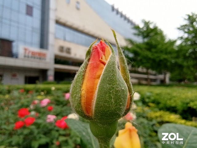 【有料評測】TD Tech M40評測：國產5G手機新選擇（保密） 