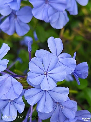 vivo X90 Pro+評測：人性化的專業(yè)影像，源于影像獨(dú)特的味道！