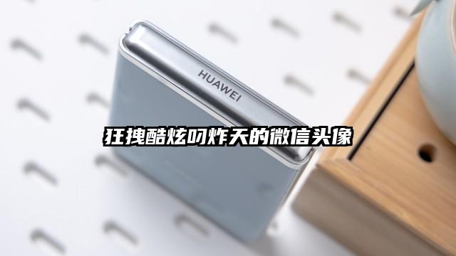 狂拽酷炫叼炸天的微信頭像