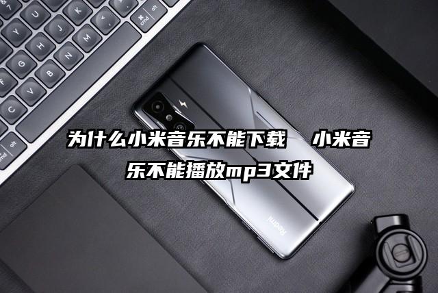 為什么小米音樂不能下載  小米音樂不能播放mp3文件