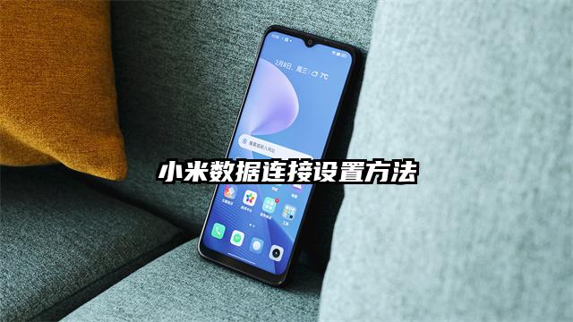 小米數據連接設置方法