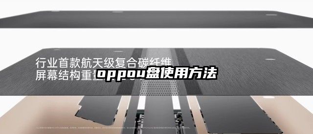 oppou盤使用方法