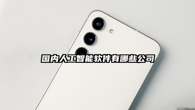 國內人工智能軟件有哪些公司