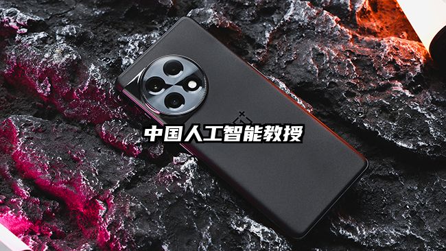 中國(guó)人工智能教授