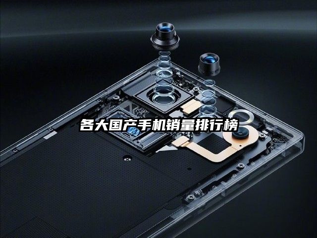 各大國(guó)產(chǎn)手機(jī)銷(xiāo)量排行榜