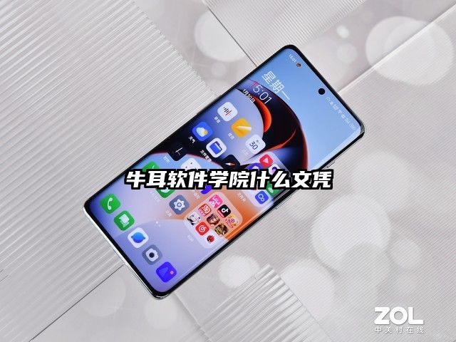 牛耳軟件學院什么文憑