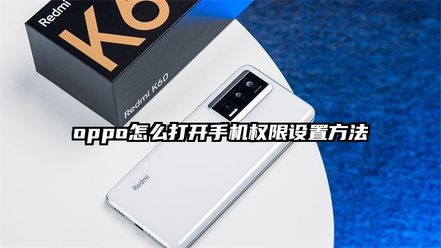 oppo怎么打開手機權限設置方法