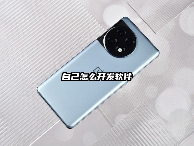 自己怎么開發軟件