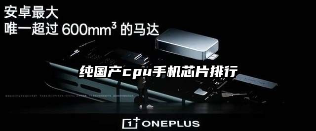 純國(guó)產(chǎn)cpu手機(jī)芯片排行