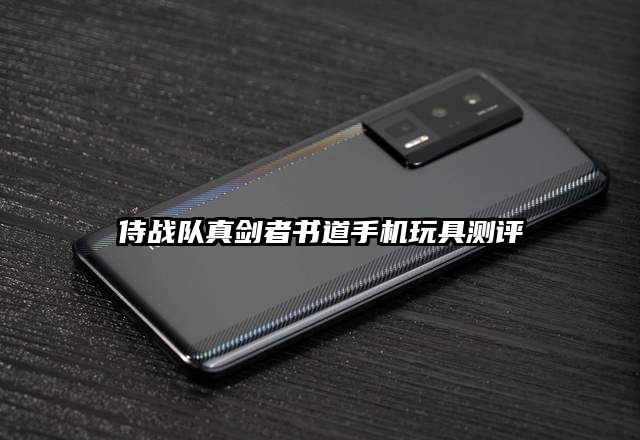 侍戰隊真劍者書道手機玩具測評