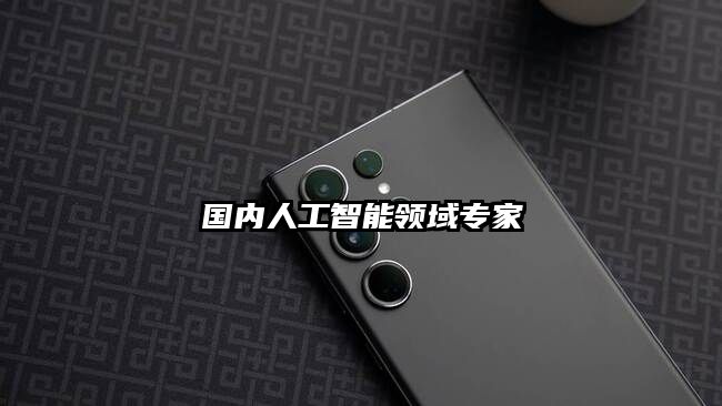 國內人工智能領域專家