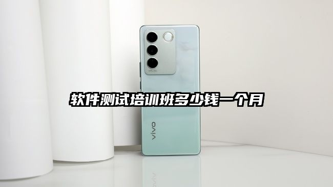 軟件測試培訓班多少錢一個月