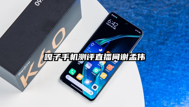 嘎子手機(jī)測(cè)評(píng)直播間謝孟偉