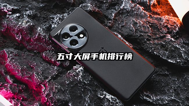 五寸大屏手機(jī)排行榜