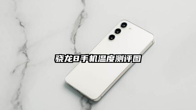 驍龍8手機溫度測評圖