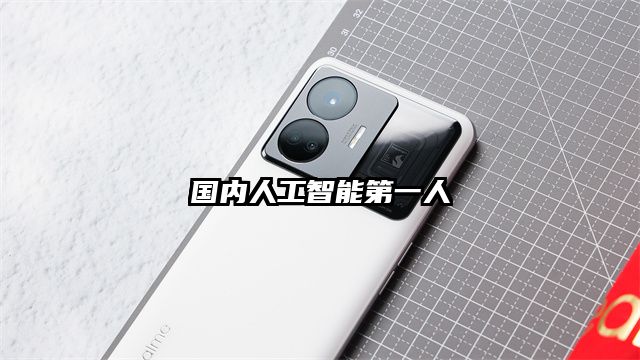 國內(nèi)人工智能第一人