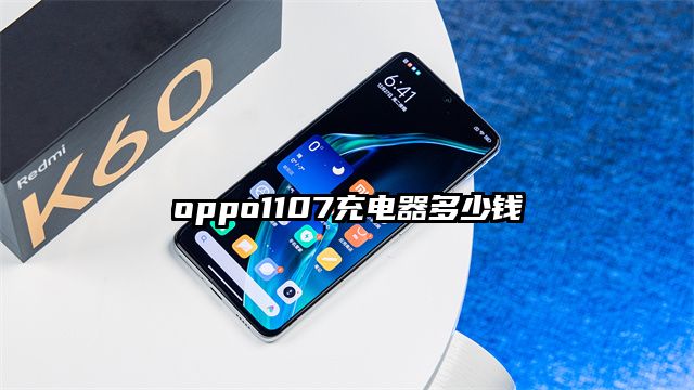 oppo1107充電器多少錢