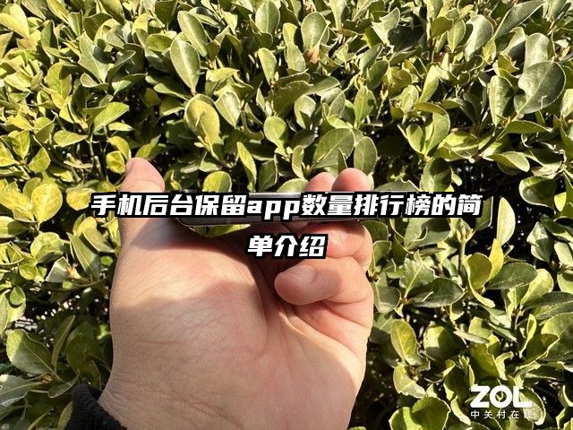 手機后臺保留app數量排行榜的簡單介紹