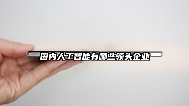 國內(nèi)人工智能有哪些領(lǐng)頭企業(yè)