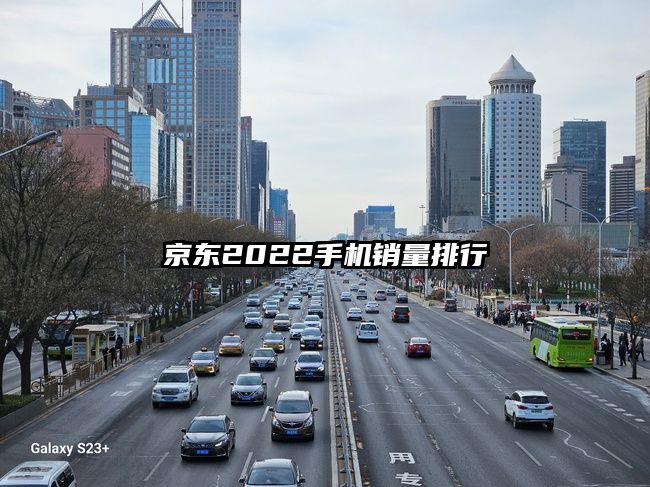 京東2022手機銷量排行