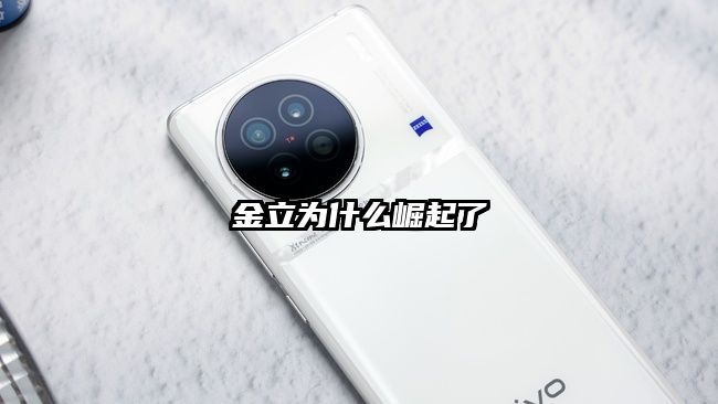 金立為什么崛起了