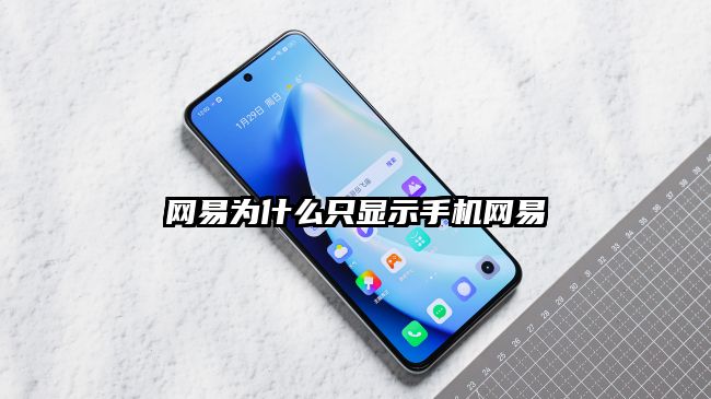 網(wǎng)易為什么只顯示手機(jī)網(wǎng)易