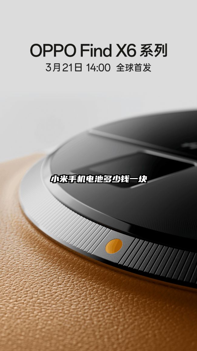 小米手機電池多少錢一塊